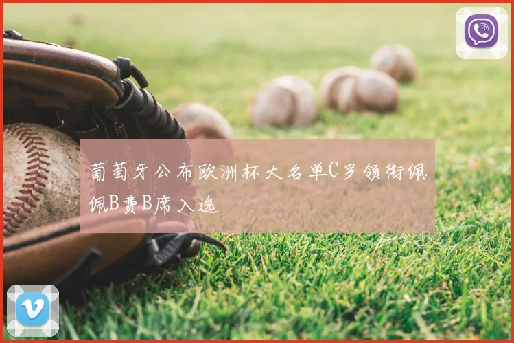 葡萄牙公布欧洲杯大名单C罗领衔佩佩B费B席入选