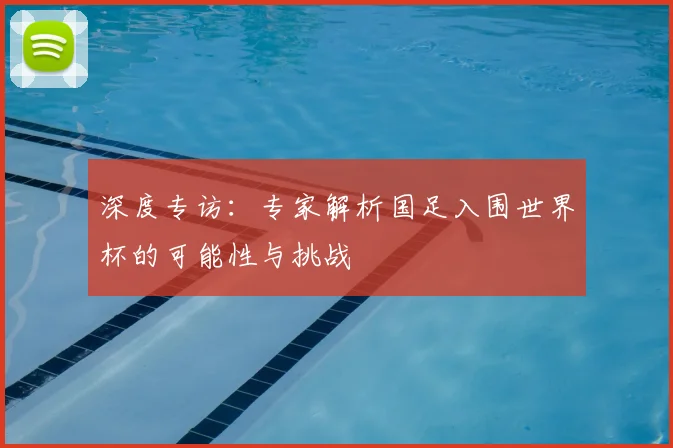 深度专访：专家解析国足入围世界杯的可能性与挑战